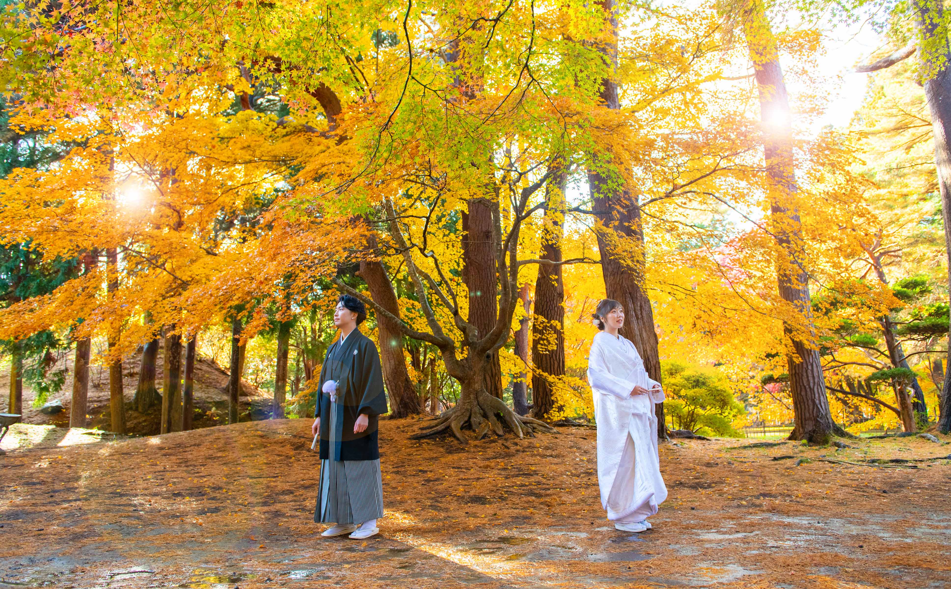 イベント撮影イメージ画像
