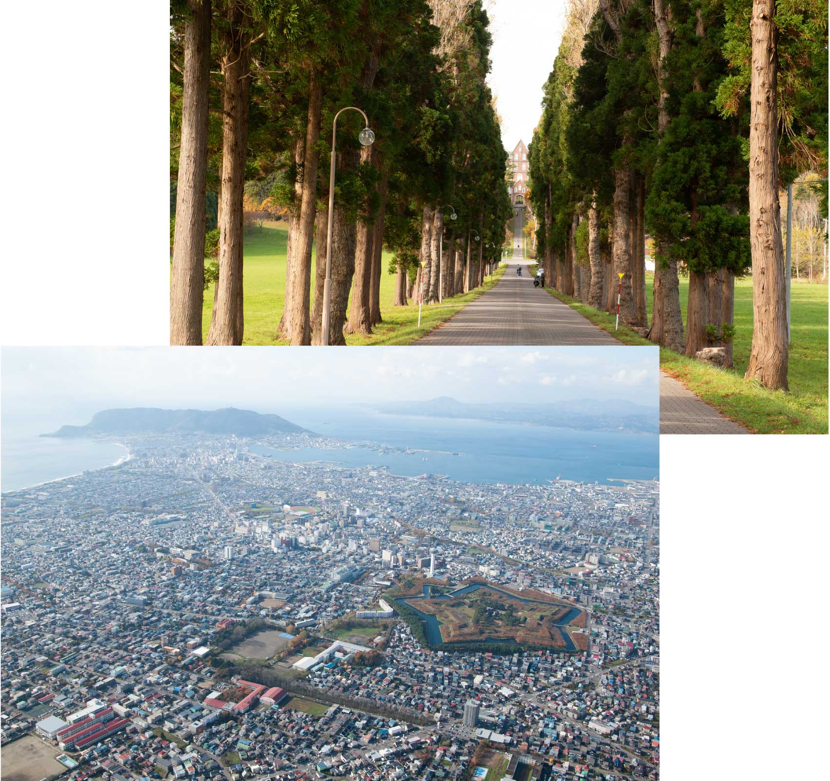 函館・道南の景色